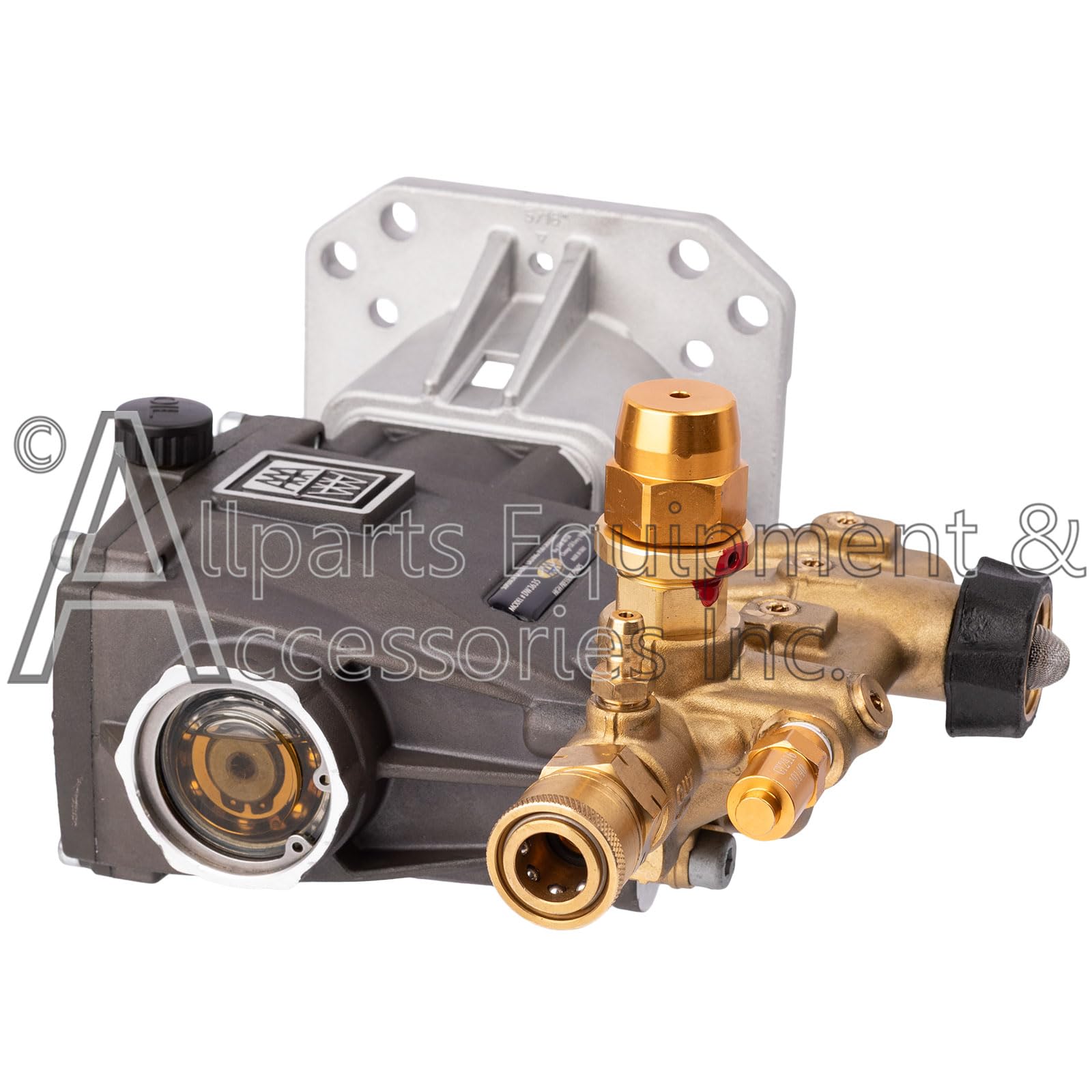 Amazon.com: DW3635 Triplex Plunger Pump OEM Replacement Pump 3600